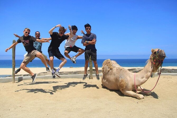 Camel Encounter and Safari Ride with Lunch and Alcohol Tasting - Tacos, drinks, and the tequila stop