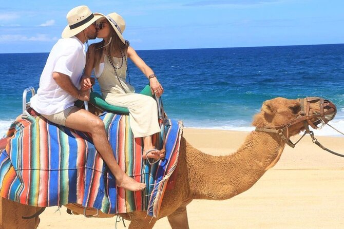 Camel Encounter and Safari Ride with Lunch and Alcohol Tasting - The real price is closer to $120 per person