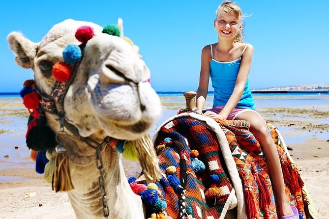 Camel Encounter and Safari Ride with Lunch and Alcohol Tasting - Who will enjoy this most