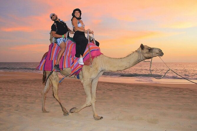 Camel Encounter and Safari Ride with Lunch and Alcohol Tasting - What the two-hour schedule feels like