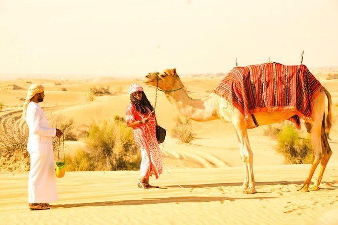 Camel Trekking and Morning Safari with Sand Boarding - Key points at a glance