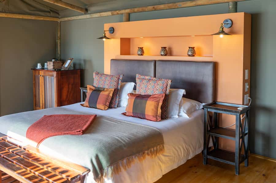 Cape Town: 2-Day Wildlife Tour with Safaris and Luxury Stay - Final verdict: a fast safari sampler with a memorable overnight stay