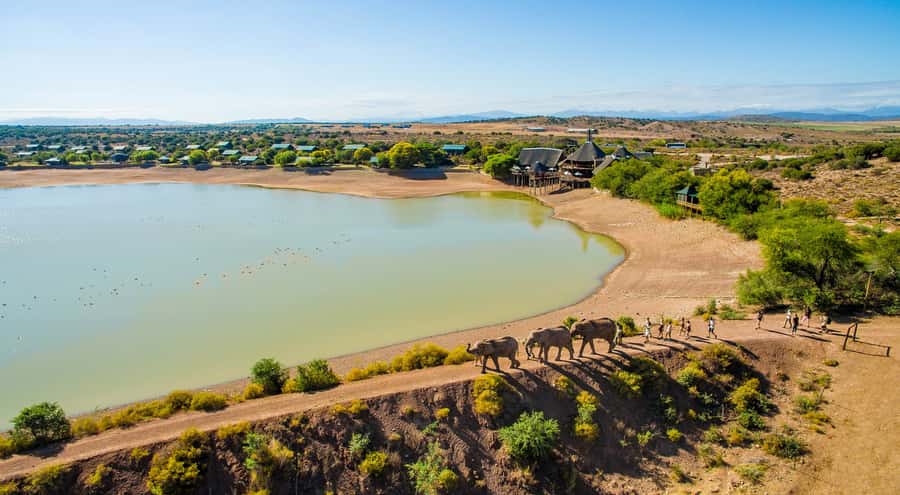 Cape Town: 2-Day Wildlife Tour with Safaris and Luxury Stay - Why this two-day safari makes sense from Cape Town
