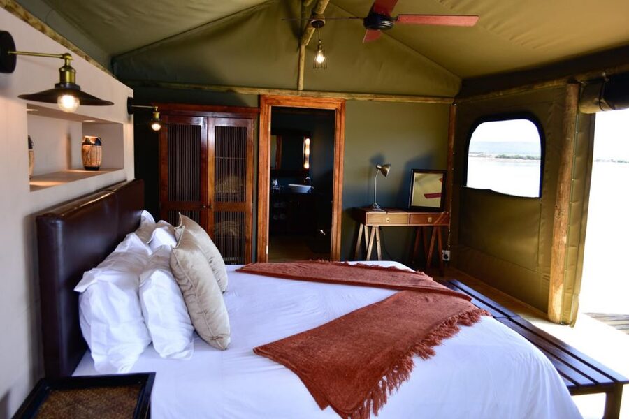 Cape Town: 2-Day Wildlife Tour with Safaris and Luxury Stay - The optional elephant experience