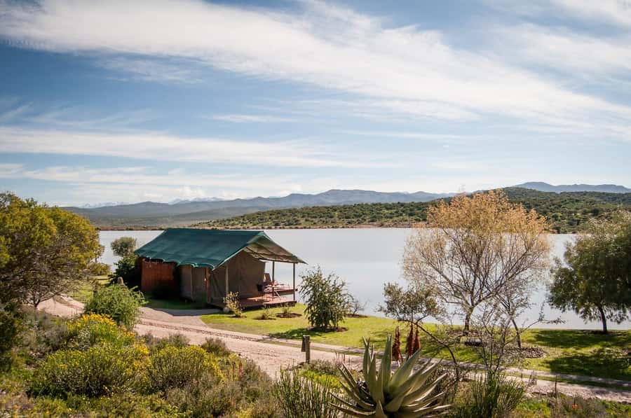 Cape Town: 2-Day Wildlife Tour with Safaris and Luxury Stay - Guides and group size can shape the whole trip