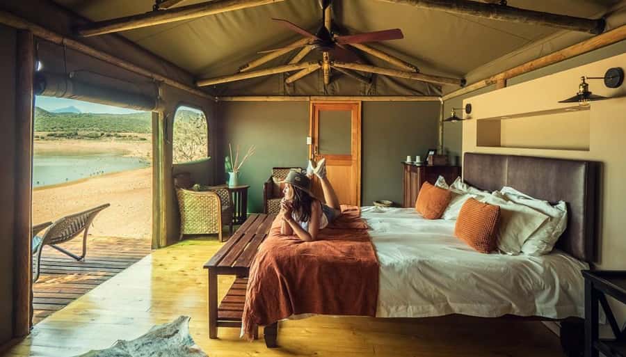Cape Town: 2-Day Wildlife Tour with Safaris and Luxury Stay - Day one: Botlierskop brings the first wildlife search