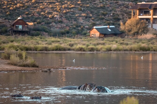 Cape Town Aquila Afternoon Safari with transport and lunch - The traditional vehicle safari