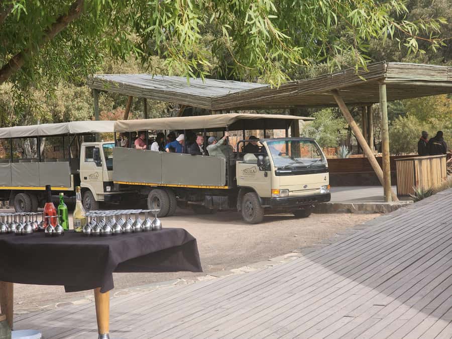 Cape Town big five safari with transport lunch Excl park fee - Practical packing advice