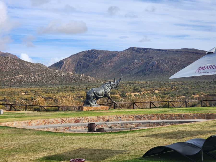 Cape Town big five safari with transport lunch Excl park fee - Should you book the Aquila day safari?