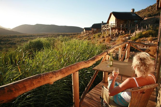 Cape Town Day Safari - What you may see during the 2 to 3-hour drive