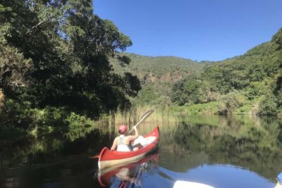Garden Route and Addo Elephant Park 6-Day Safari