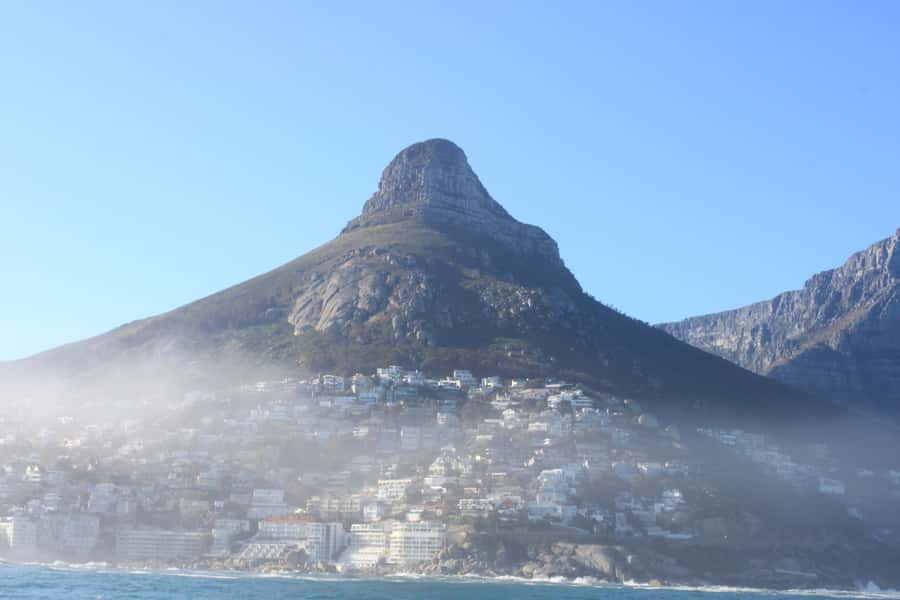 Cape Town: Marine Big 5 Ocean Safari from V&A Waterfront - Searching for dolphins, seals, and penguins