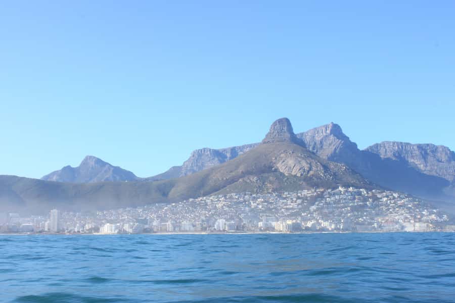 Cape Town: Marine Big 5 Ocean Safari from V&A Waterfront - Whales and sunfish depend heavily on timing
