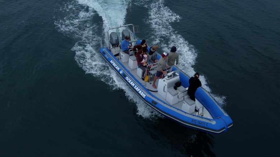 Cape Town: Marine Biologist Led Safari Tour - V&A Waterfront - Leaving the harbor with Table Mountain behind you