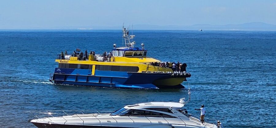 Cape Town: Ocean Safari 1 Hour - Should you book Cape Town Ocean Safari?