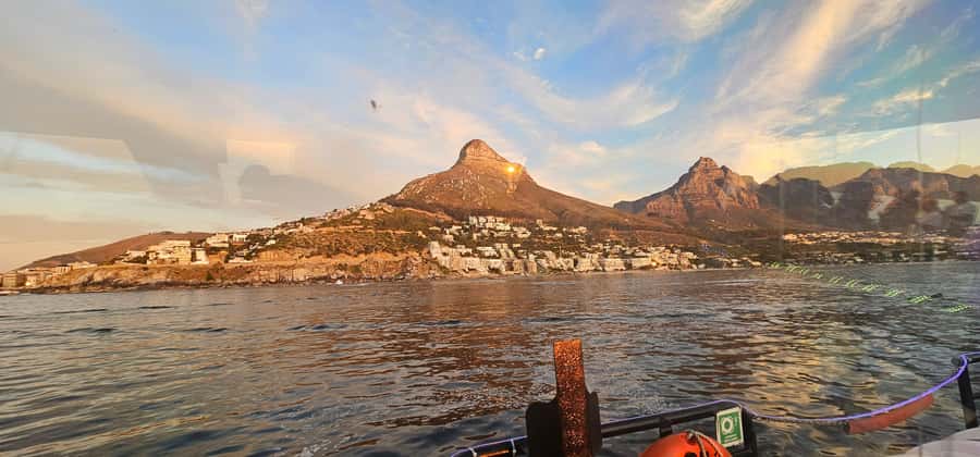Cape Town: Ocean Safari 1 Hour - What the one-hour route feels like