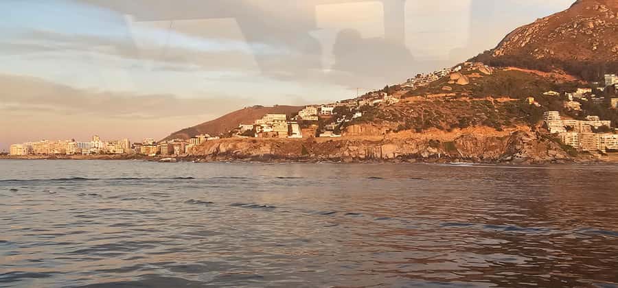Cape Town: Ocean Safari 1 Hour - Why the guide matters on a short safari