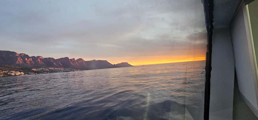 Cape Town: Ocean Safari 1 Hour - Is one hour enough?