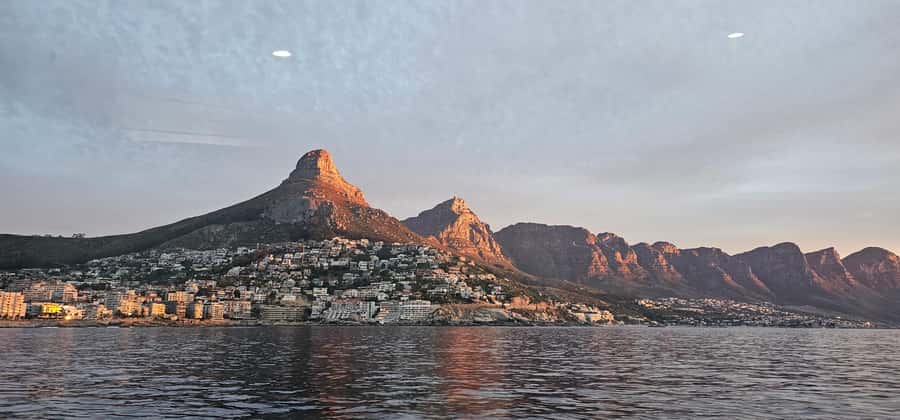 Cape Town: Ocean Safari 1 Hour - Best timing and practical preparation