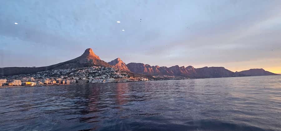 Cape Town: Ocean Safari 1 Hour - How this fits into a Cape Town day