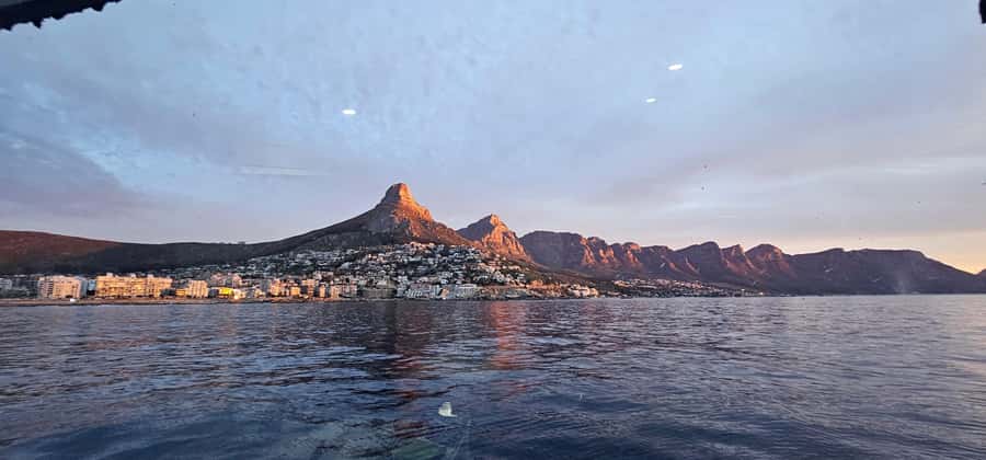 Cape Town: Ocean Safari 1 Hour - Who should book the ocean safari?