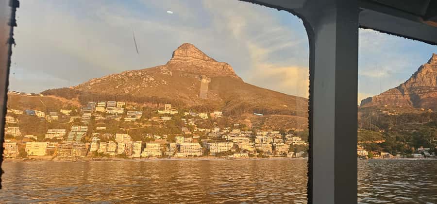 Cape Town: Ocean Safari 1 Hour - The marine life you may see