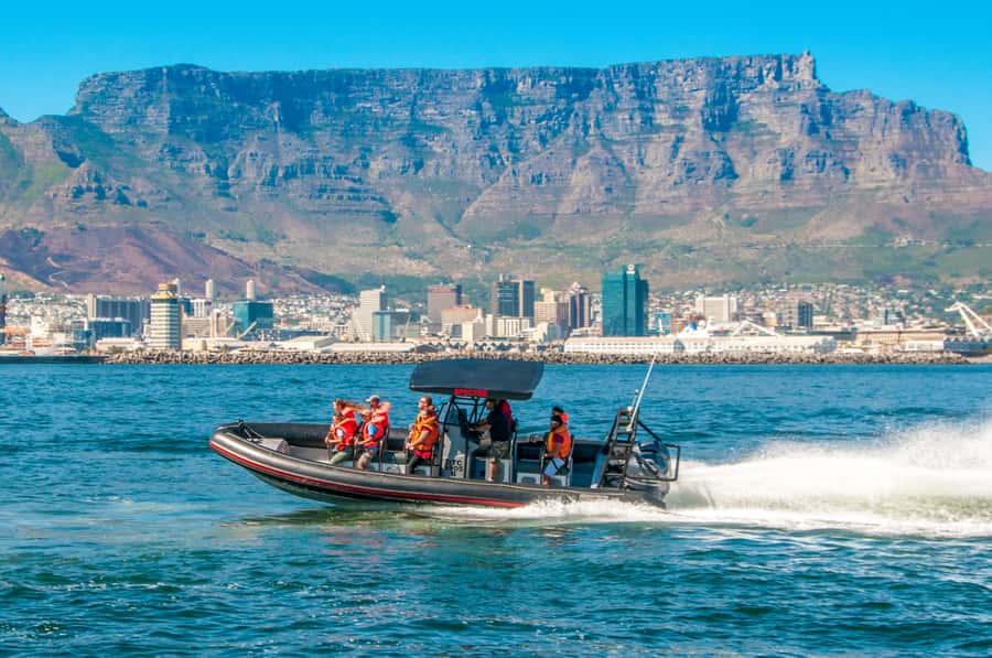 Cape Town Ocean Safari: Speed Boat Adventure in Table Bay - Key points to know before booking