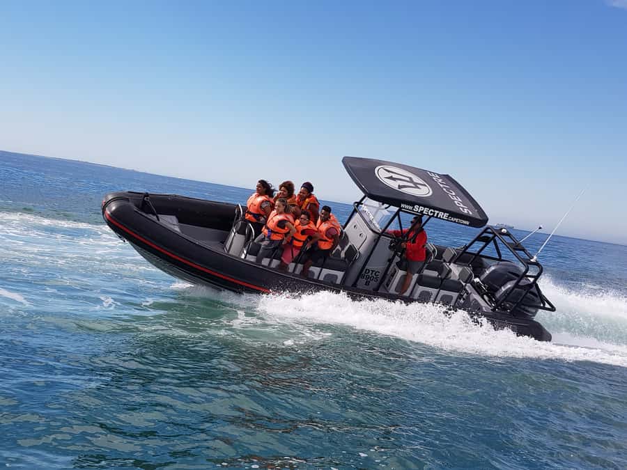 Cape Town Ocean Safari: Speed Boat Adventure in Table Bay - The first burst of speed