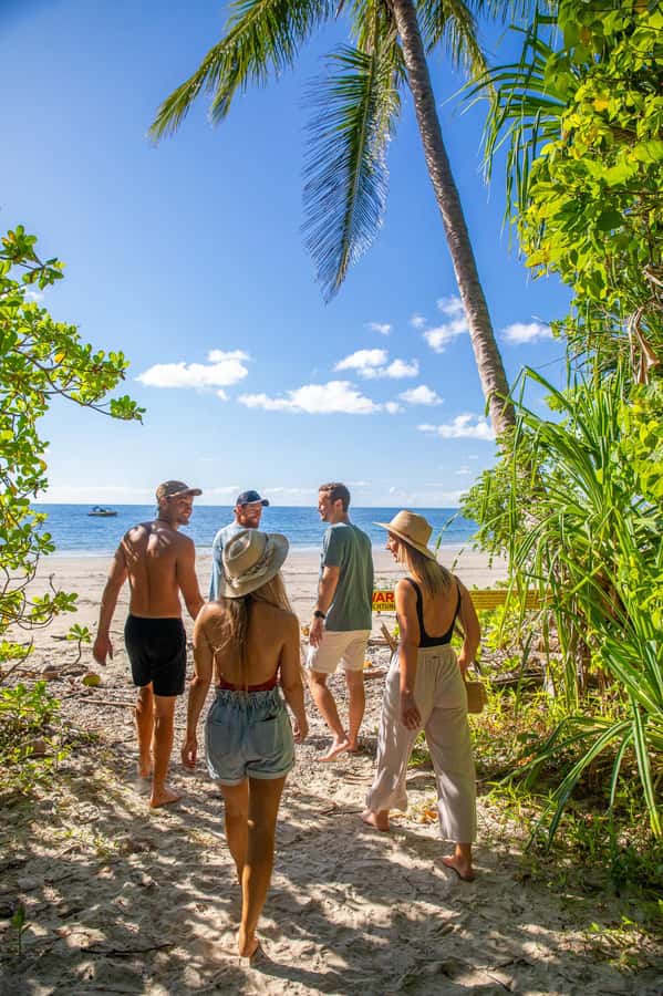 Cape Tribulation Ocean Safari - Great Barrier Reef Adventure - Why Mackay Reef feels different from a Cairns reef trip