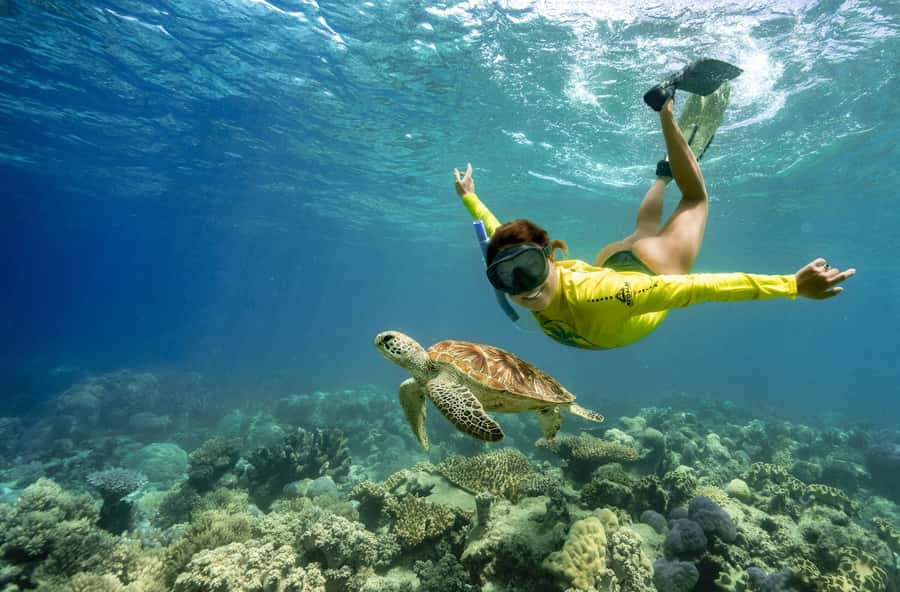 Cape Tribulation Ocean Safari - Great Barrier Reef Adventure - The sand cay adds a welcome change of pace