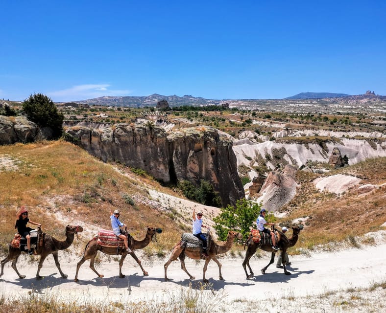 Cappadocia Camel Safari Tour - Camels, comfort, and what first-time riders should expect