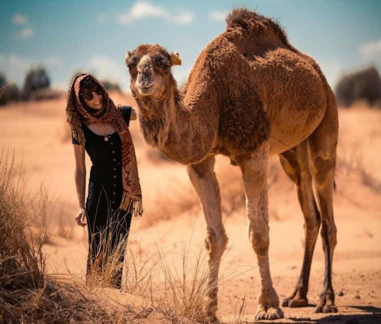 Cappadocia: Camel Safari Tour with Transfer - Pickup from seven Cappadocian towns
