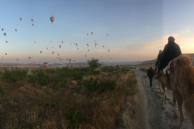 Cappadocia: Sunrise Camel Safari - Should you book the Cappadocia sunrise camel safari?