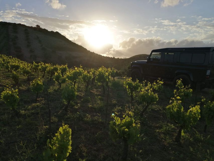 Chania 4x4 Sunset Safari Tour - Is $93 a fair price?