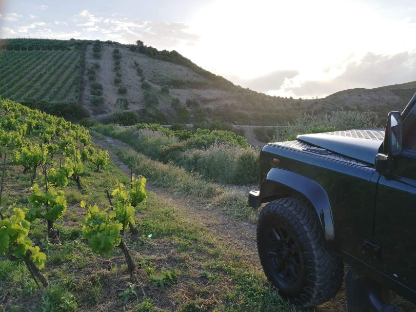 Chania 4x4 Sunset Safari Tour - Should you book the Chania 4x4 Sunset Safari?
