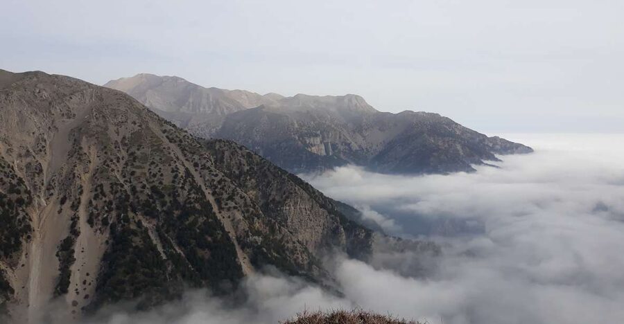 Chania: White Mountains Safari Tour with Lunch and Tastings - Why this Chania tour feels different from a standard bus trip