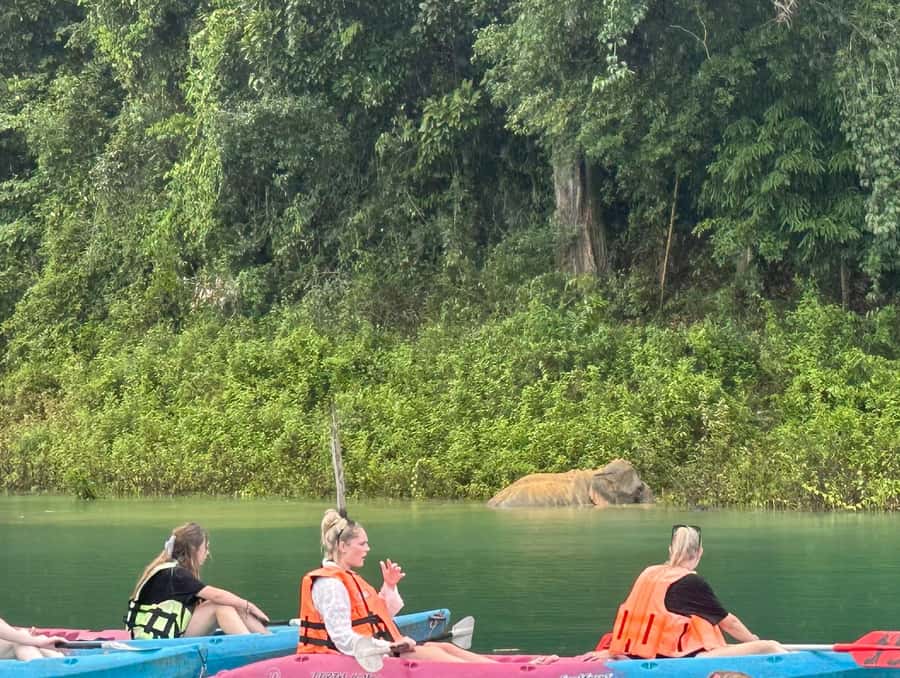 Cheow Larn Lake - Hiking - Cave Explore - Wildlife Safari - Practical packing advice for a wet, active day