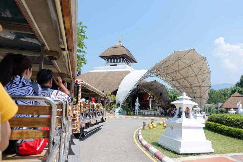 Chiang Mai Night Safari: Entry Ticket with Tram Ride - Why an evening at Chiang Mai Night Safari feels different