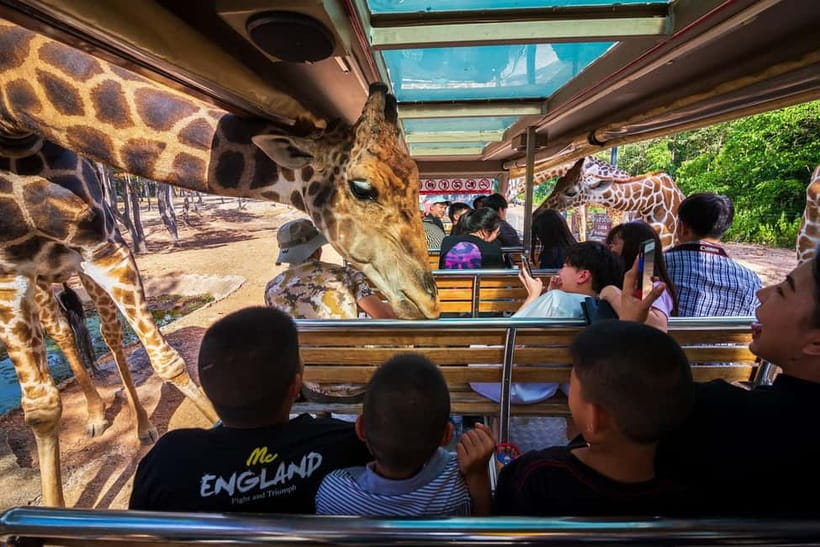 Chiang Mai Night Safari: Entry Ticket with Tram Ride - Ride through the Savanna Zone