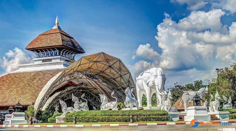 Chiang Mai Night Safari Ticket & Tram Rides Optional Pickup - How the $34 price holds up