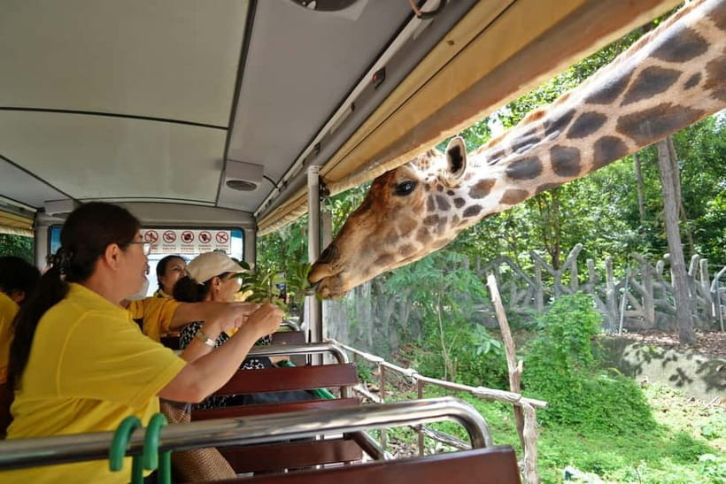 Chiang Mai Night Safari Ticket & Tram Rides Optional Pickup - Practical timing tips for a smoother visit
