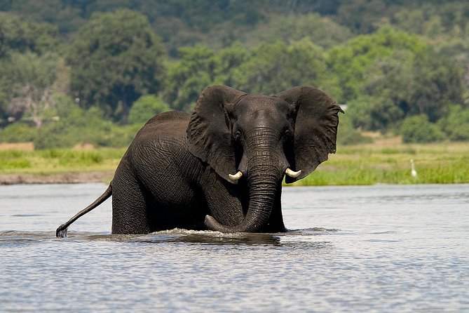 Chobe Full Day Safari Trip - Why Chobe works so well as a day trip