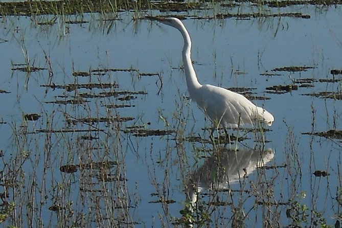 Chobe Full Day Safari Trip - Who will enjoy this day most?