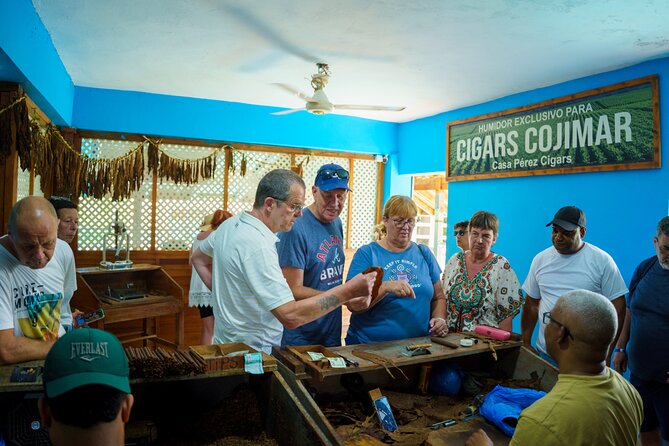 City Tour & Half-Day Safari Experiences - Is $45 a Fair Price?