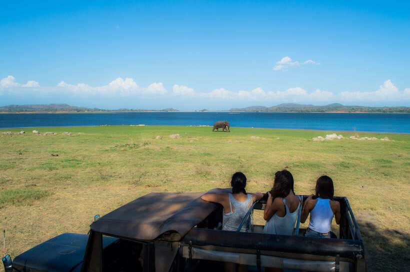 Colombo/Negombo: Sigiriya, Dambulla, and Minneriya Safari - Lunch and the cost of eating on the road