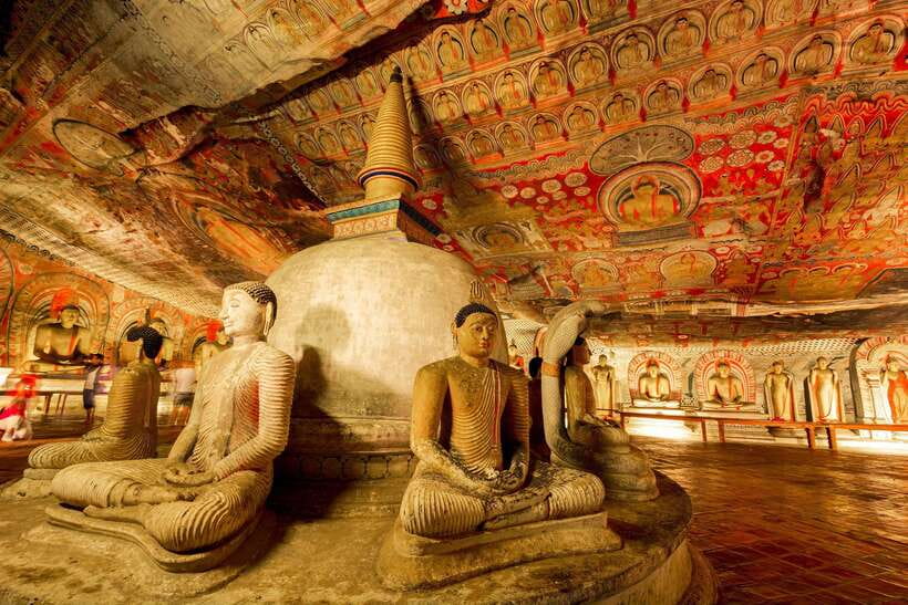 Colombo/Negombo: Sigiriya, Dambulla, and Minneriya Safari - The safari: elephants are the main attraction
