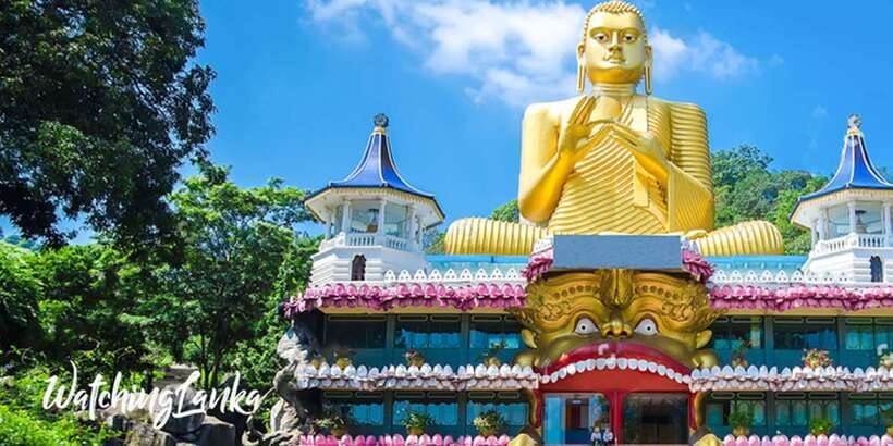 Colombo/Negombo to Sigiriya, Dambulla & Jeep Safari Day Tour - What the guides add to the day