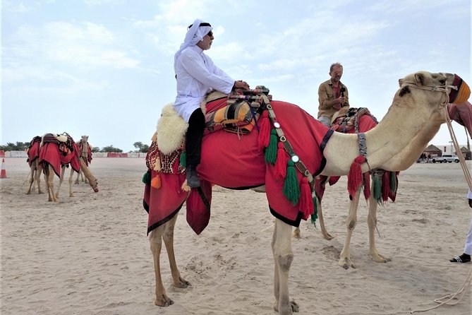 Combo Culture & Adventure: North Qatar Heritage & Desert Safari - Why this Qatar combination works