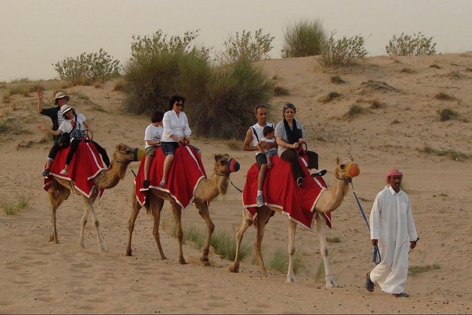 Combo Dubai City Tour and 4X4 Desert Safari with Dinner - Crossing Dubai Creek by abra