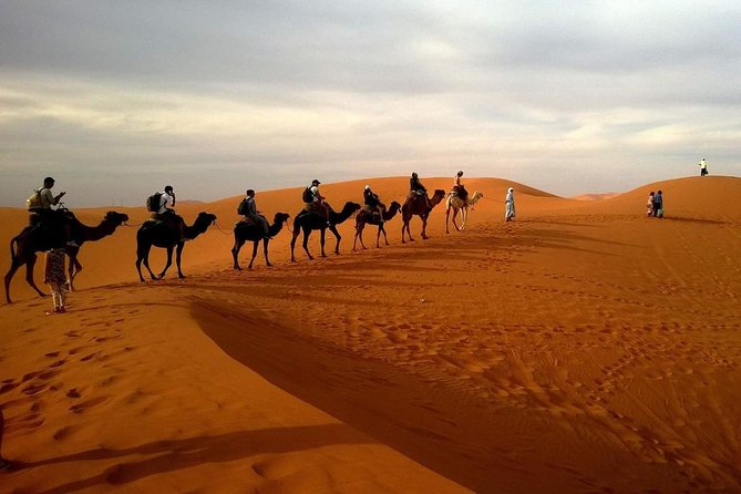 Combo Dubai City Tour and 4X4 Desert Safari with Dinner - Jumeirah Mosque and the Burj Al Arab photo stops